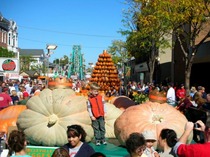 pumpkin festival -1.jpg