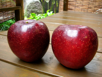 Akibae apple.jpg