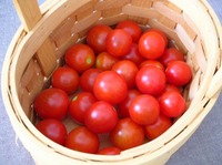 cherrytomato.jpg