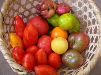heirloom tomatos.jpg
