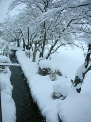 snow.jpg